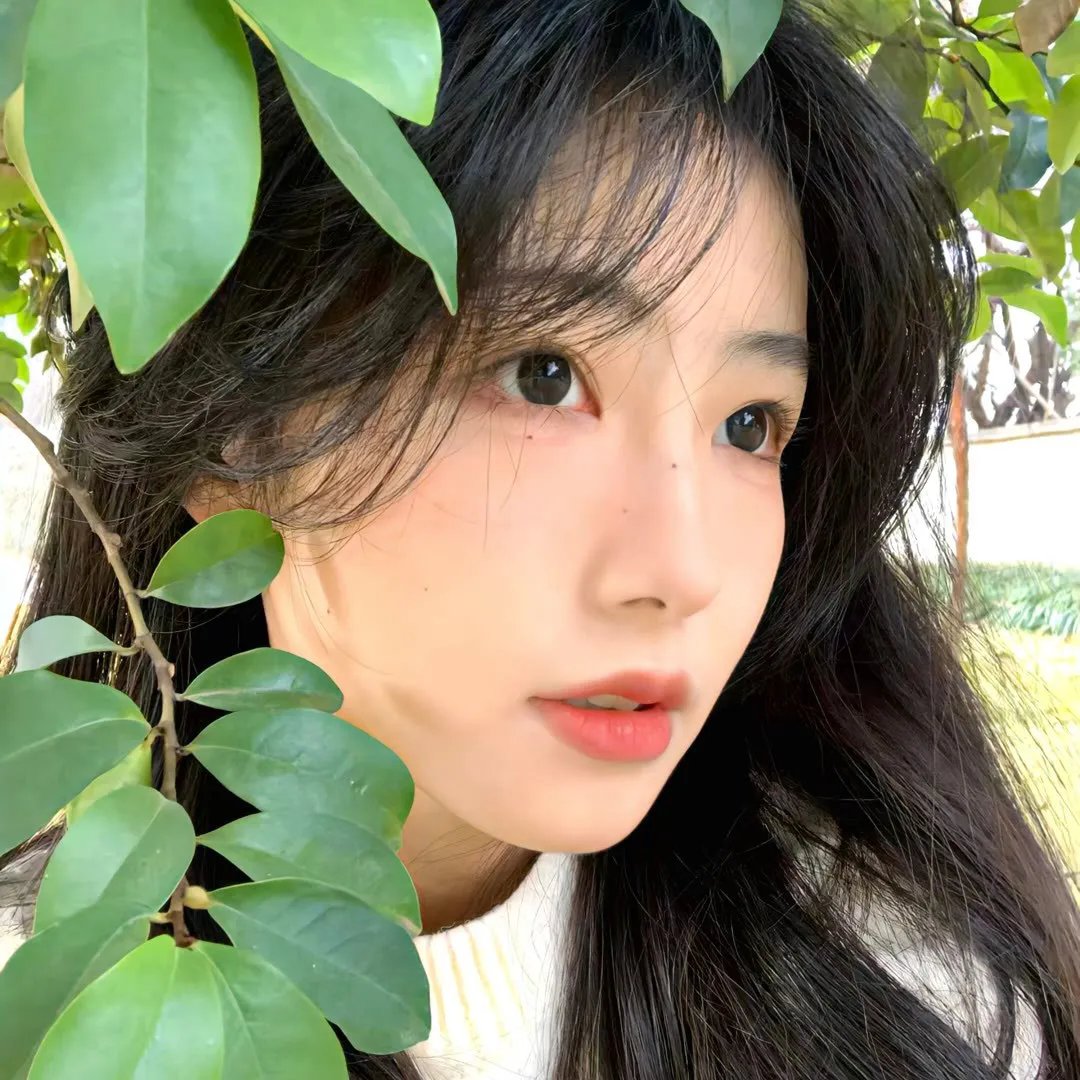 秋之白华